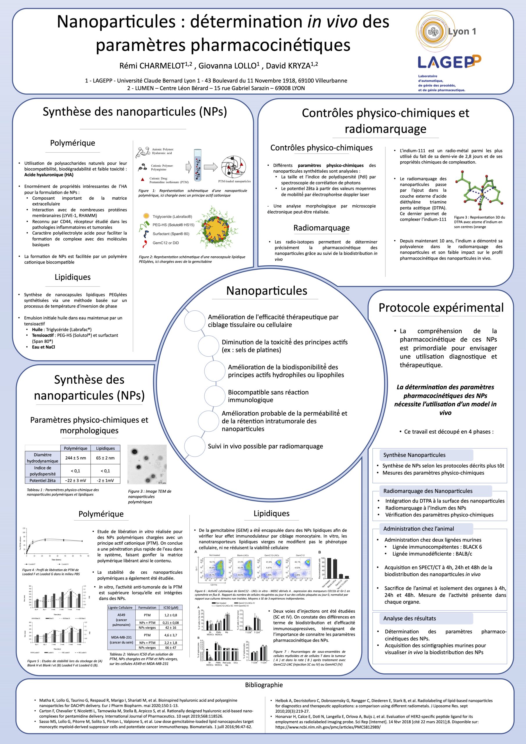 Poster Remi Poster Remi